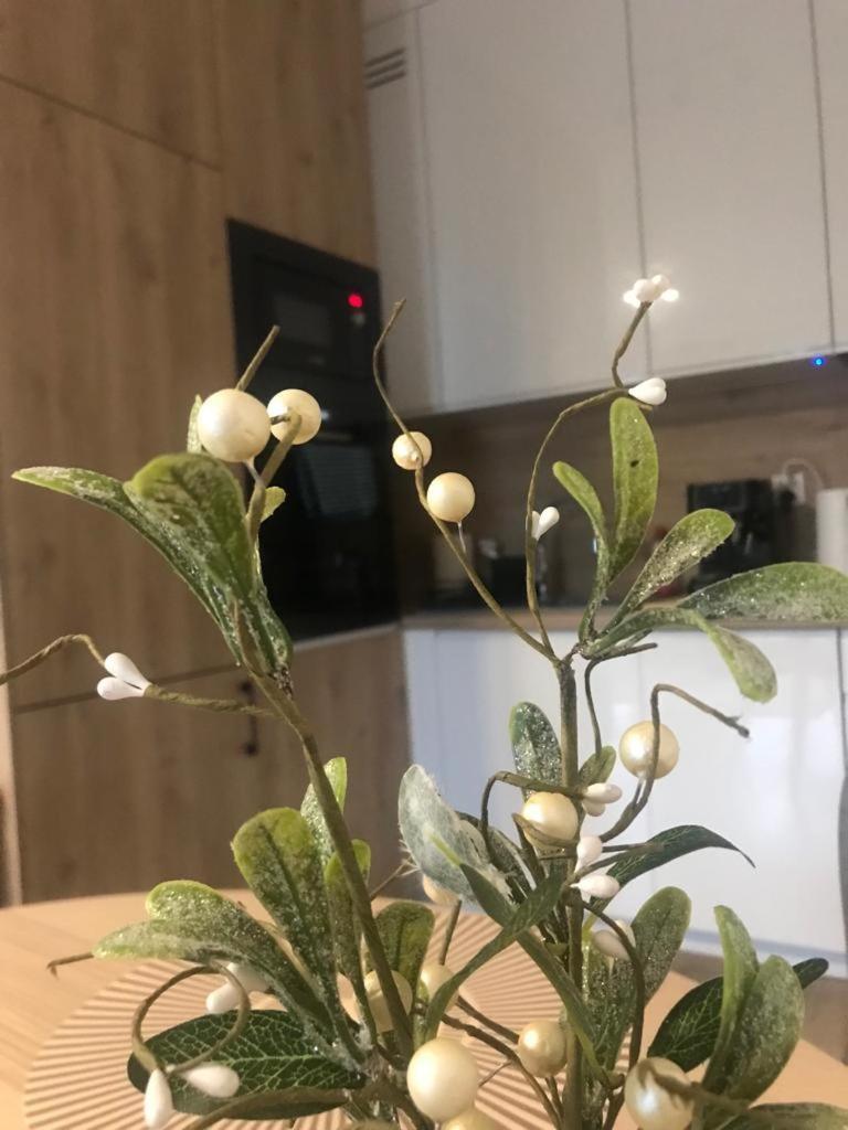 Apartament Kameralis Old Town - Klimatyzacja - Balkon - Winda 엘블라그 외부 사진